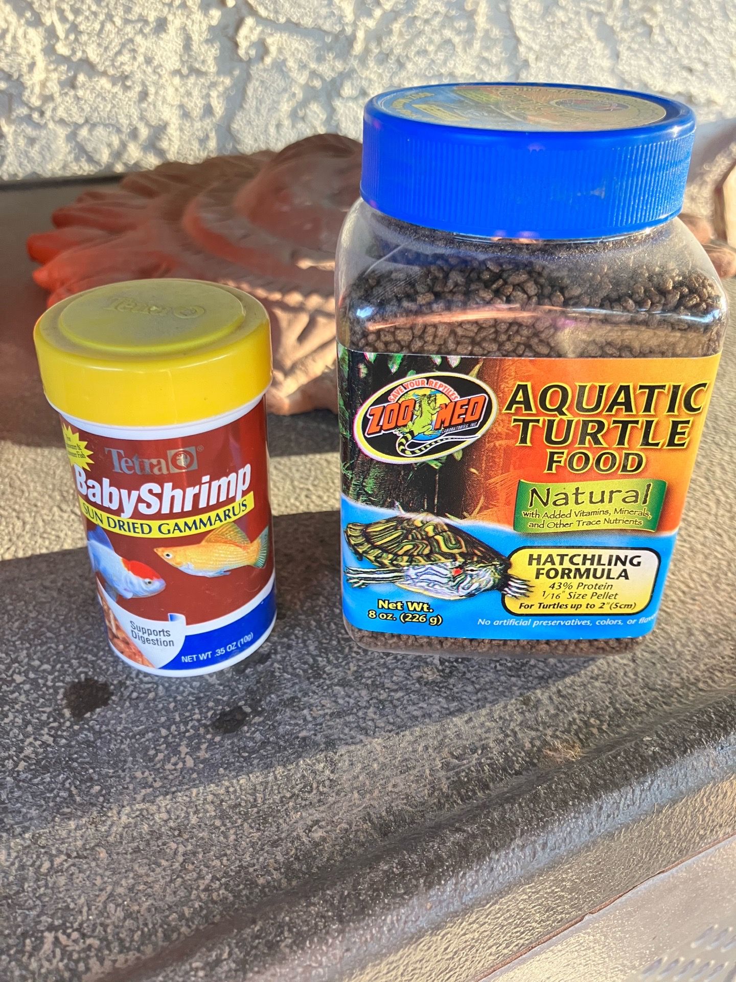 Turtle food