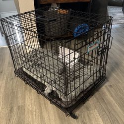 Small Dog Crate