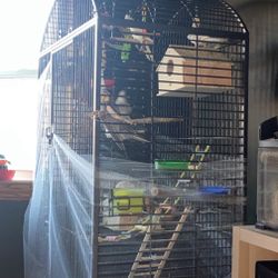 Bird Cage