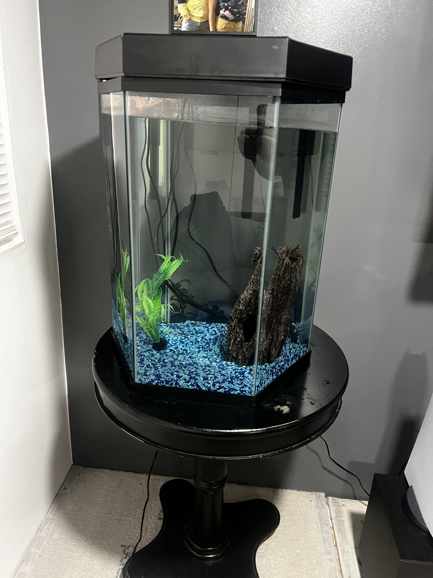 Fish tank 25 Gallons