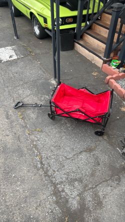 Kid wagon