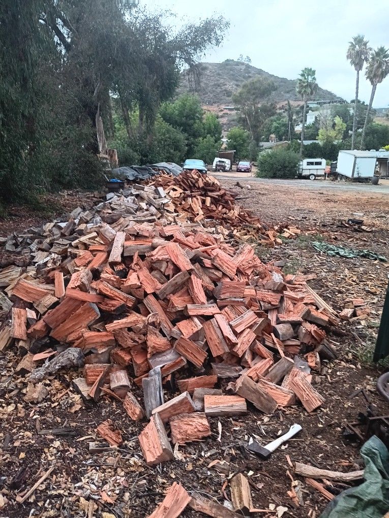 Pine And Eucalyptus Fire Woods