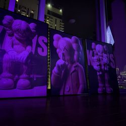 Kaws Photos 