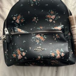Two Coach Backpacks 