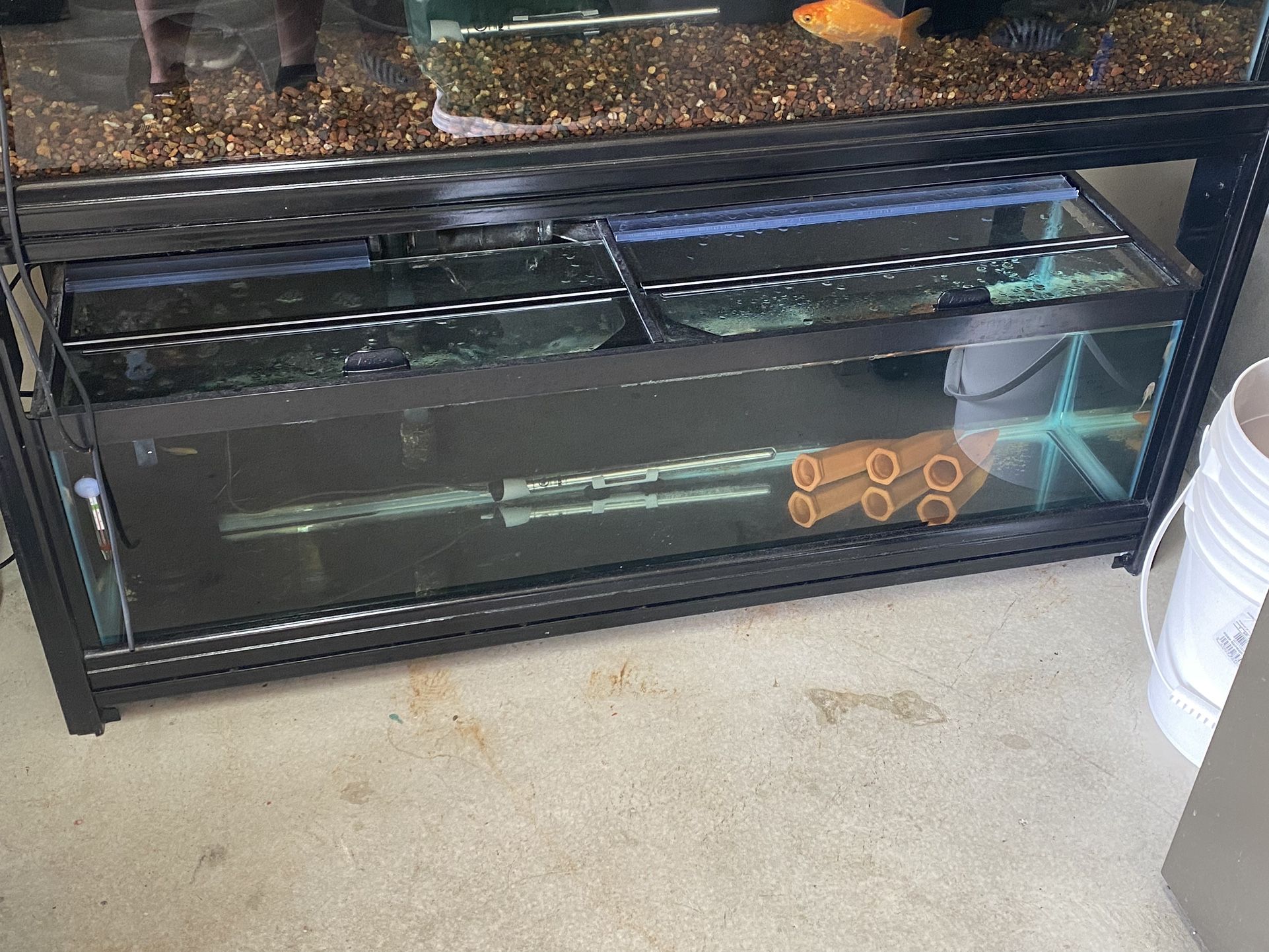 Rare 33 Long Fish Tank 