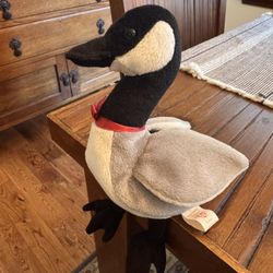 Loosy The Canada Goose Beanie Babies1998