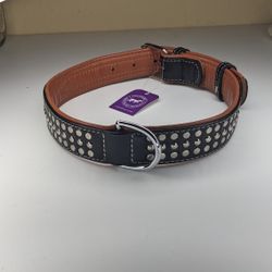 XL Dogg Collar New