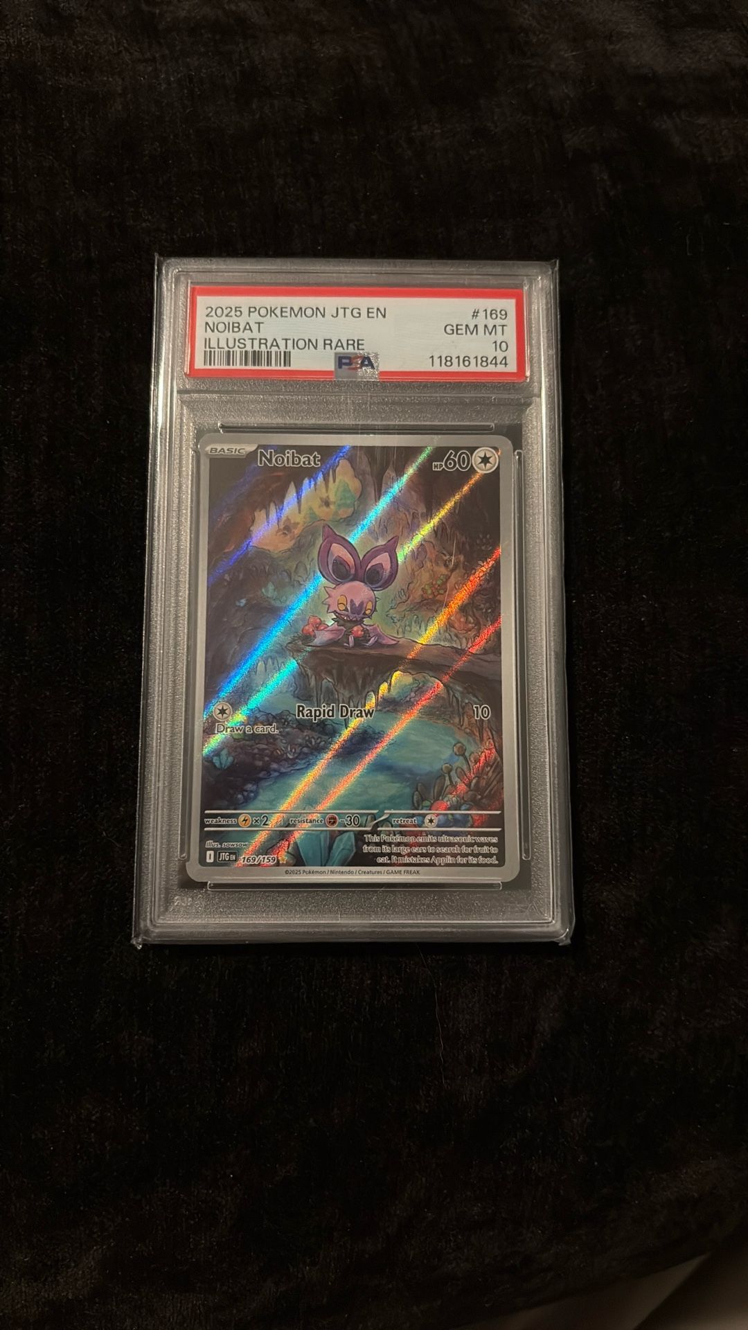 A PSA 10 Noibat IR