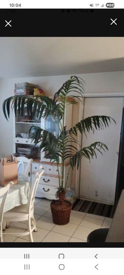 Artificial Tree
