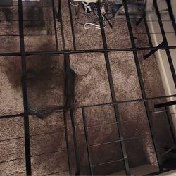 Adjustable (Full-Twin) Bed Frame