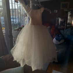 Beautiful ballerina costume or princess dress
