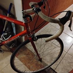 Schwinn 