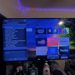 55 Inch Vizio Smart Tv