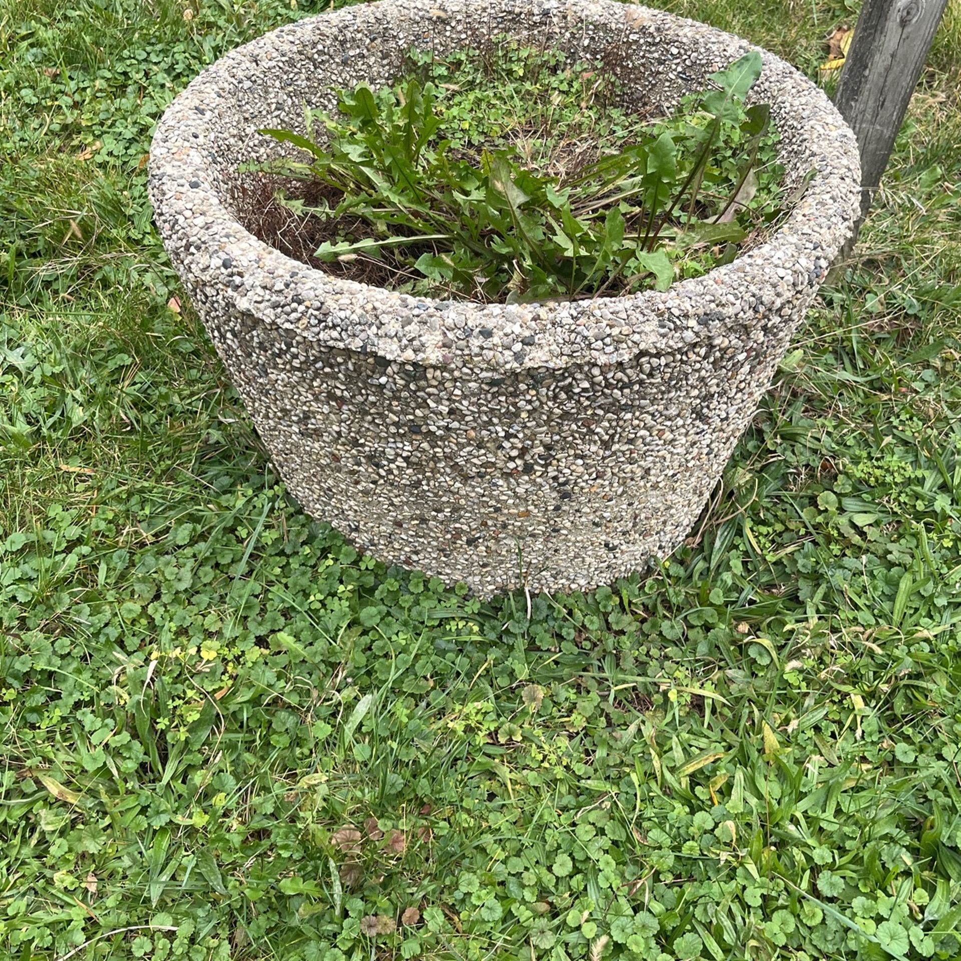 two concrete flower pots 