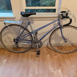 Centurion Bike Used(Flexible Price)