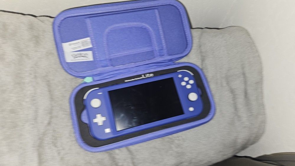 Switch Lite With Case