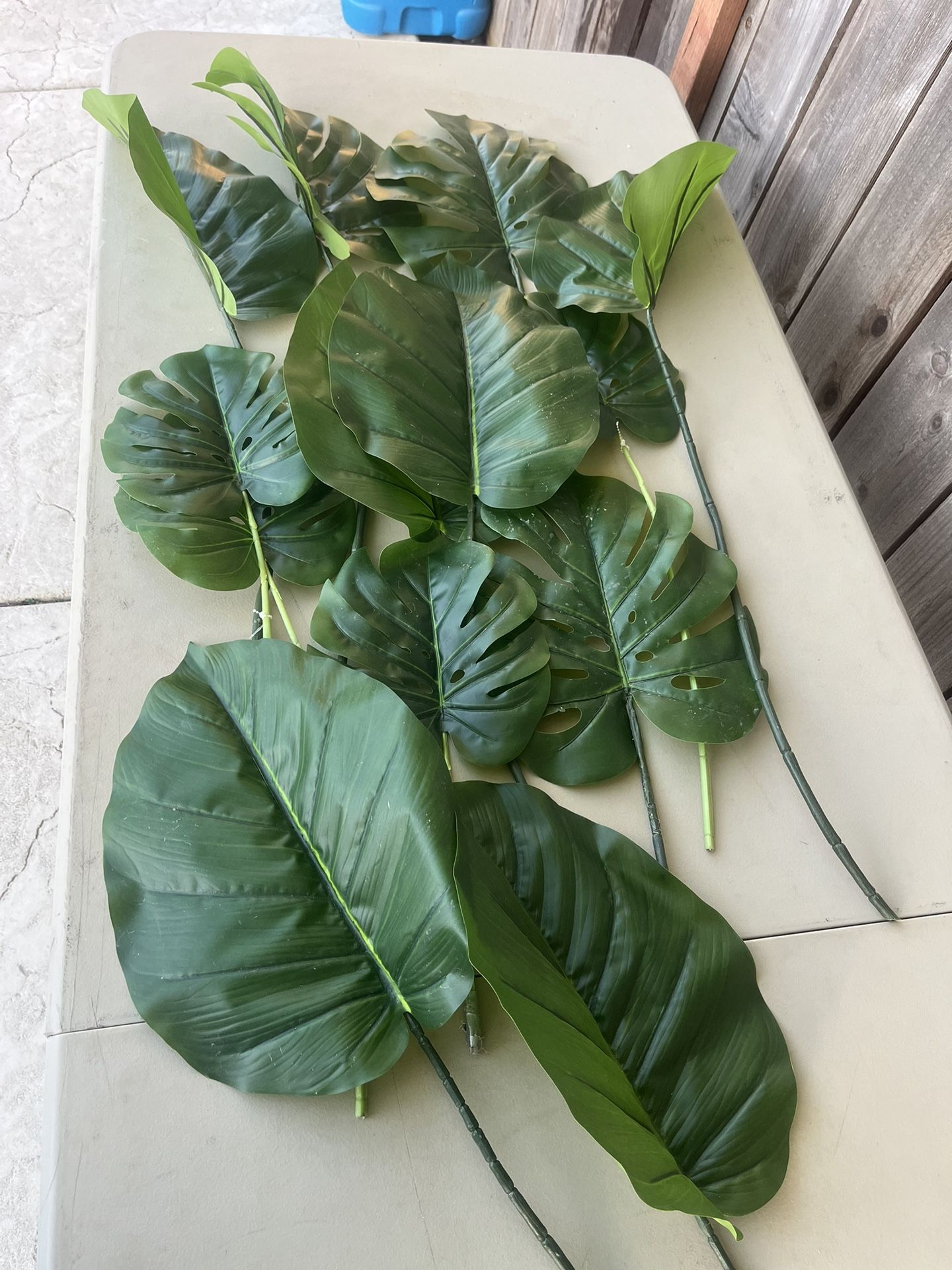 Fake Leaves, Monstera, Birds Of Paradise, Palm