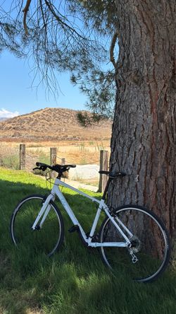 Giant Liv Alight Bike 2