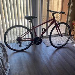 Trek Bike 