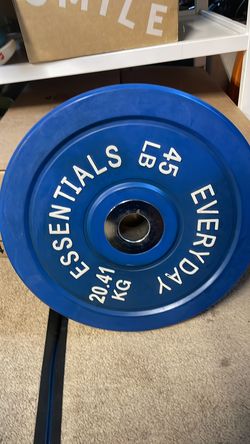 Pair of 45lb bumper plates
