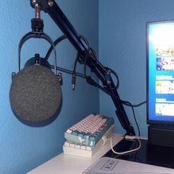 Mic