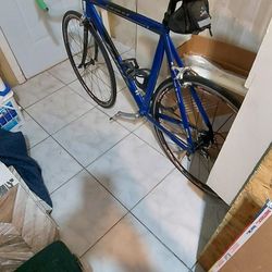 Racing Bicycle Road Bike JAMIS 