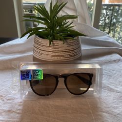 Brand New Uniqlo Sunglasses