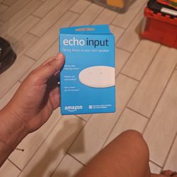Echo Input 
