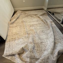 Area Rug