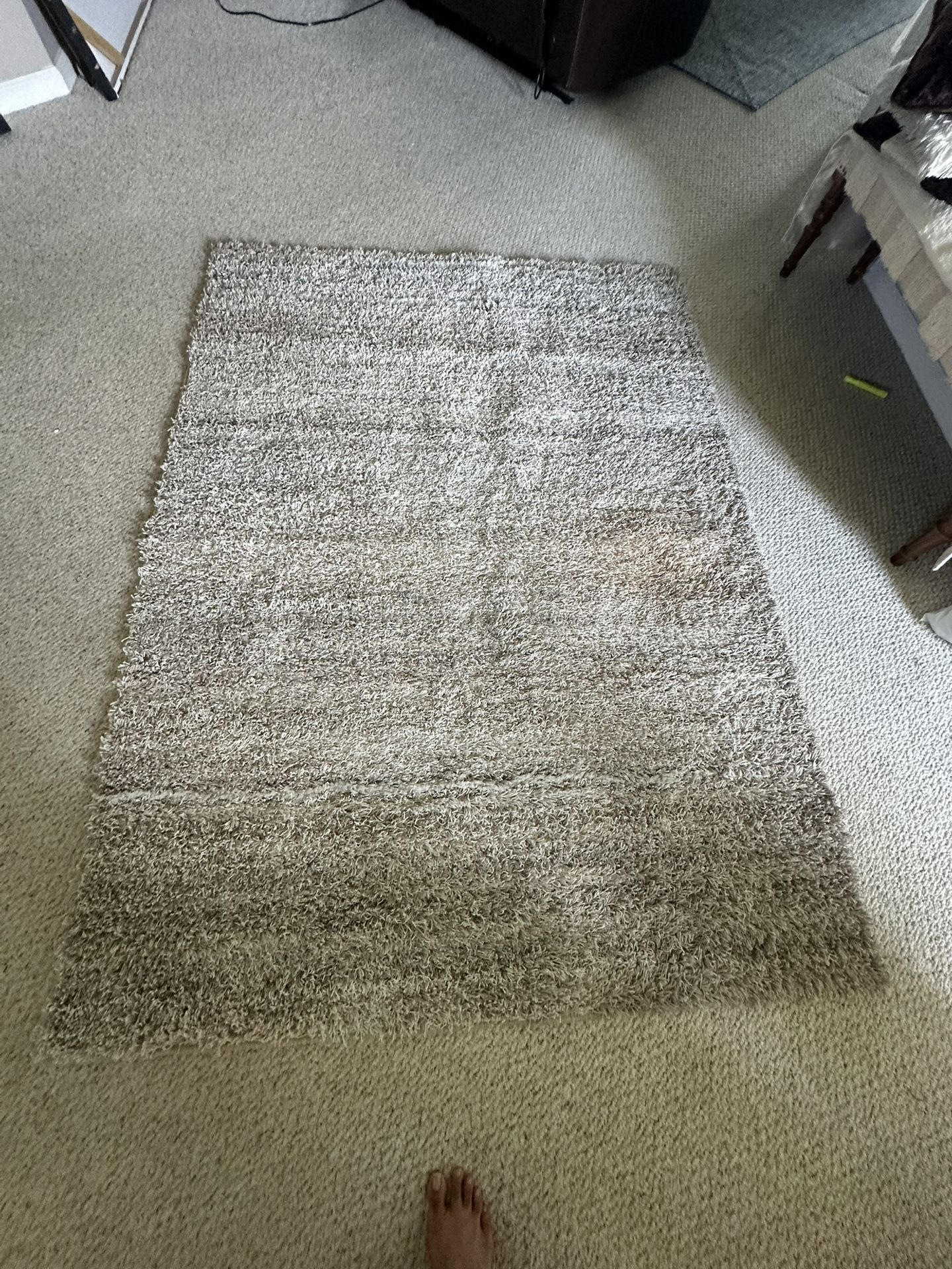 Two Living Room Rugs