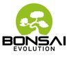 Bonsai Evolution 