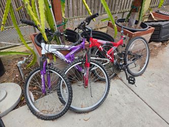 Free Bikes