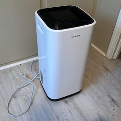 KESNOS Home Dehumidifier
