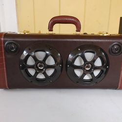 Trumpet Case Bluetooth Speaker and Subwoofer