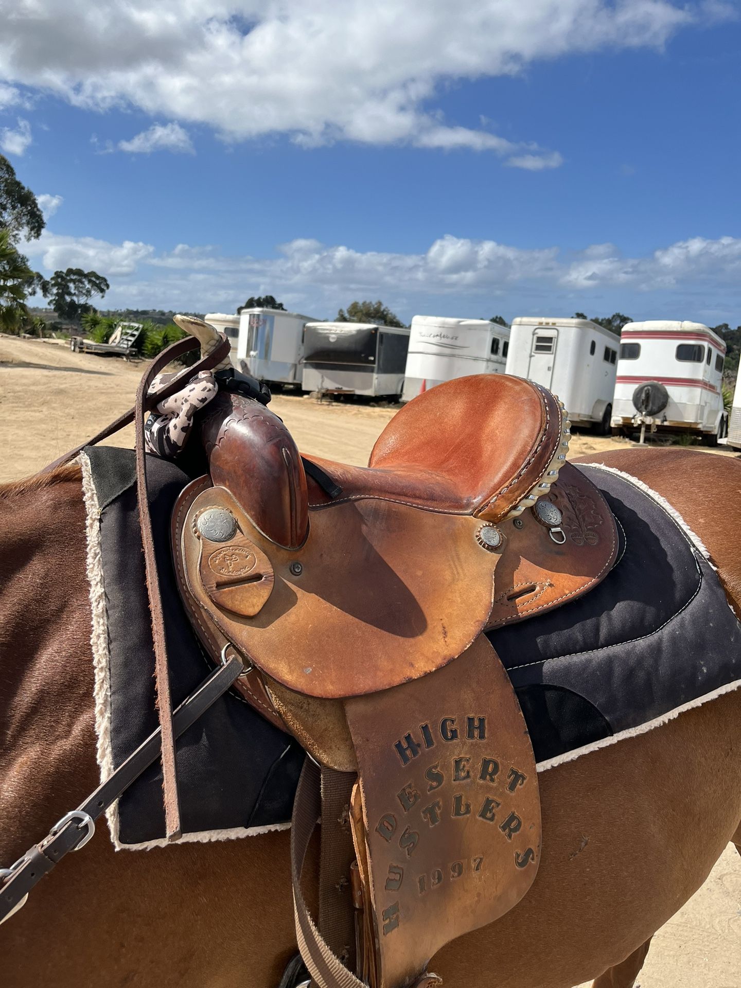 Western Saddle
