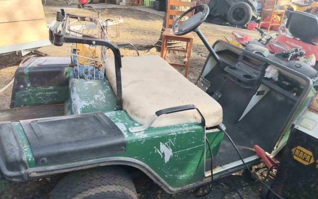 2 Golf Carts Gas