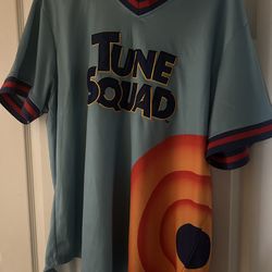 Authentic box lunch exclusive space jam tune squad jersey