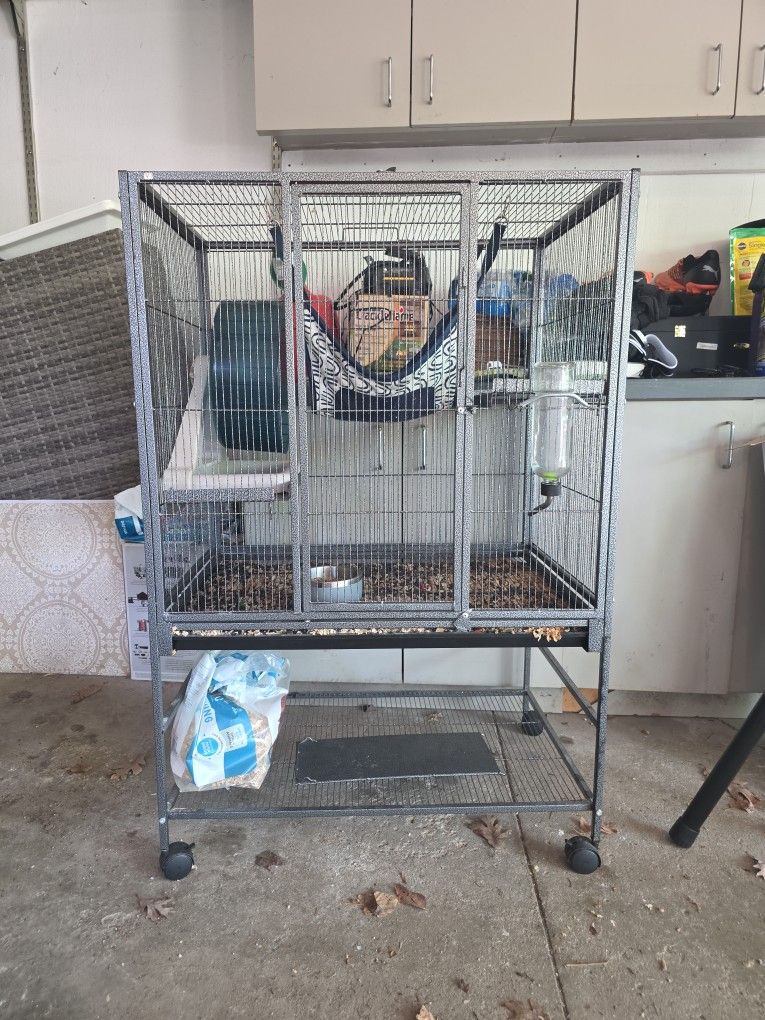Chinchilla Gage