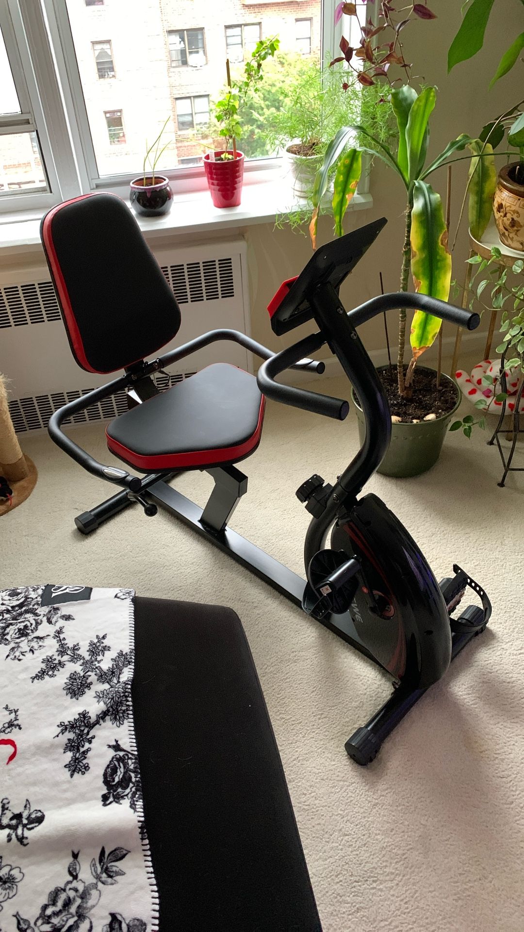 VANSWE Recumbent Exercise Bike