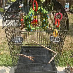 Large Bird Cage  For Sale