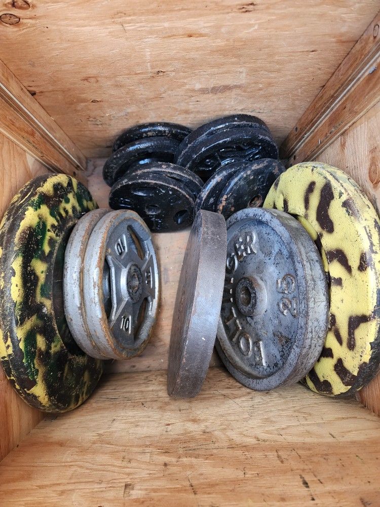 1 Inch Plate Weights