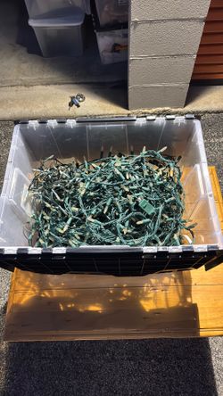 Christmas String Lights – Green Wire (Large Bundle)