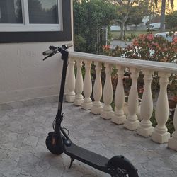 Ninebot Scooter