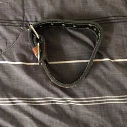 Studded Leather Dog Collar