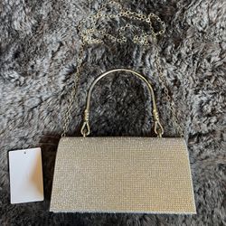 Bolsa  Plateada / Silver Bag