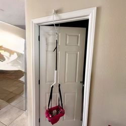 Evenflo Exersaucer Door Jumper