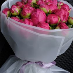 Peonies Bouquet 