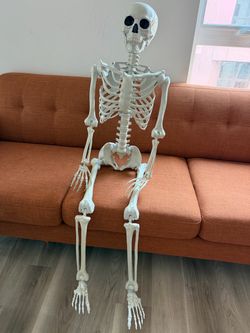Full Size Plastic Human Skeleton Decoration