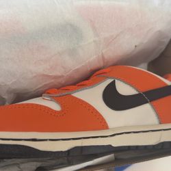 Kids Nike Dunks  10 C