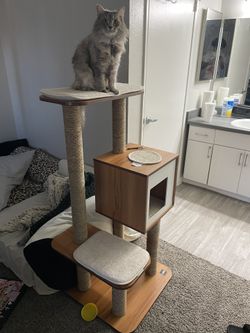 Cat Tower